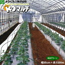みかど化工 KOマルチ グリーン(KOG)緑 厚み0.02mm 幅95cm×長さ200m 無孔 3本セット