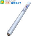 菜園用 透明マルチ 厚0.02mm×巾95cm×長200m