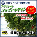 日本ワイドクロス アグリシートシャインホワイト (高反射防草シート) 幅4m×長さ50m 格子ライン入り 雑草抑制/雑草対策/ハウスの防草除草に