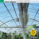 メーカー：オカモト株式会社 充実の基本性能。汎用タイプの決定版！　”クリーンソフト　ゴリラ” 特殊ポリオレフィン系フィルムです。防滴剤を樹脂に練り込ませて成型しているので防滴効果が長続きします。 ●汚れにくい 　汚れが付きにくく、展張後の明るさが持続します。 ●作業ラクラク 　軽くて、ベタつきが少なく、展張作業や換気作業がラクになり省力化につながります。 ●破れにくい 　特殊多層構造により強度アップしています。風や寒さに強く、破れにくフィルムです。 ●優れたトータルバランス 　保温性・無水的性・防塵性等、求められる性能をバランス良く備えています。 ■仕様 製品名：　クリーンソフト　ゴリラ 性質：　透明性、強度、無水滴性、保温性、防塵性 用途：　ビニールハウス外張り 厚み（mm） 幅（cm） 長さ（m） 0.15 540 ご希望の長さ(m)を個数で入力 ●こちらの商品のお支払方法は「クレジットカード」又は「銀行振込」でお願いいたします。 　代金引換でのお支払いはお受けできませんのでご注意ください。 ※システム上ご注文画面では「代金引換」が選択できてしまいますが、選択された場合 　ご注文をお受けすることができませんので、キャンセルさせていただきますことを 　予めご了承ください。 ●送料無料ライン対象外商品となります。 　ご注文金額に関係なく、1枚につき送料1,200円をご負担いただきます。 ※お届け先が北海道・沖縄・離島の場合、一律送料ではなく送料別料金となります。 ●通常、発送まで7〜10営業日程度(※土日・祝日を除く)お時間をいただいております。　ご注文後の色・サイズ・数量の変更やキャンセルはお受けできません。 　ご注文の際は、間違いがないようにご注意ください。 ※配送日時指定はお受けできません。予めご了承ください。 ●他の商品と同梱発送不可となります。 　お手数ですが、他の商品は必ず別にご注文手続きくださいますようお願いいたします。 ※他の商品を一緒にご注文された場合、ご注文をキャンセルさせていただきますことを　予めご了承ください。 ●農繁期や季節によっては、メーカー在庫切れや出荷遅延等不測の事態が生じる場合が 　稀にございます。予定よりもお時間がかかる場合は、その旨ご連絡いたします。 ●ご使用予定に十分時間の余裕を持ってご注文くださいますようお願いいたします。 ●加工商品のため、誤納品以外の返品・キャンセルは一切お受けできません。 　最後にサイズ等ご注文内容に間違いないかご確認くださいますようお願いいたします。 詳細につきましてはメーカー製品サイトでご確認くださいませ ⇒≪オカモト株式会社≫Powered by EC-UP