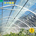 オカモト 塗布型 散乱光農POフィルム シャ乱光 厚さ0.1mm 幅300cm ご希望の長さ(m)を数量で入力してください 梨地
