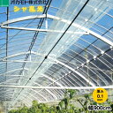 オカモト 塗布型 散乱光農POフィルム シャ乱光 厚さ0.1mm 幅900cm ご希望の長さ(m)を数量で入力してください 梨地