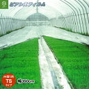 水稲ベタ掛け育苗　ピアレスフィルム　内張り用　TSタイプ　厚み0.12mm　幅350cm×長さ10m　オーダーカット加工商品