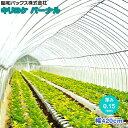 農POフィルム キリヨケバーナル 厚さ0.15mm 幅420cm (ご希望の長さを数量で入力ください)