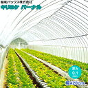 農POフィルム キリヨケバーナル 厚さ0.1mm 幅420cm (ご希望の長さを数量で入力ください)