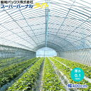 農POフィルム スーパーバーナルライト 厚さ0.1mm 幅400cm (ご希望の長さを数量で入力ください)