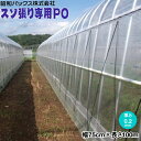 スソ張り専用農POフィルム 厚さ0.2mm 幅75cm×長さ100m