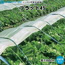 タキロンシーアイ　トンネル用　カラー鉄線　フラット45　長さ1.65cm　100本セット　(TWCフラット404)