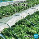 タキロンシーアイ　トンネル用　カラー鉄線　フラット50　長さ1.8m　100本セット　(TWCフラット401)