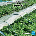 タキロンシーアイ　トンネル用　カラー鉄線　ジャンボフラット60　長さ3m　50本セット　　(TWCPジャンボ468)