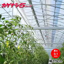 高機能農業用塗布型POフィルム カゲナシ5 厚さ0.1mm×270cm 希望の長さ(m)を数量で入力