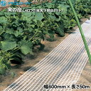 タキロンシーアイ 実の座 (メロンの果実下敷きネット) 白 幅600mm×長さ50m 1巻入り(4)