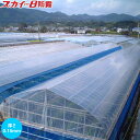 タキロンシーアイ 霧抑制農ビ スカイ8防霧 屋根ビニール 厚さ0.15mm 間口4間(幅940cm) 奥行(長さ)を選択してください