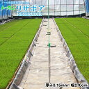 プール育苗シート 多層POフィルム トーカン リザボア 厚み0.15mm 幅270cm ご希望の長さ(m)を数量で入力