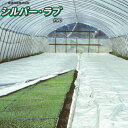東罐興産 水稲育苗用 シルバーラブ#90 幅270cm×長さ50m 1枚 たたみ品 平置き(無加温)