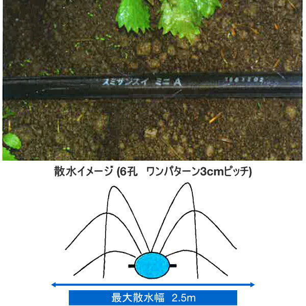 住化農業資材　潅水チューブ　スミサンスイ　ミニA　200m　1巻 2