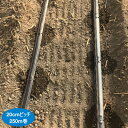 ネタフィム ストリームライン X60-02 20cmピッチ 250m 1巻 点滴チューブ 灌水チューブ 住化農業資材
