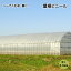 シーアイ化成 農ビ 屋根ビニール　2.5×3間 0.1mm×540cm×9m