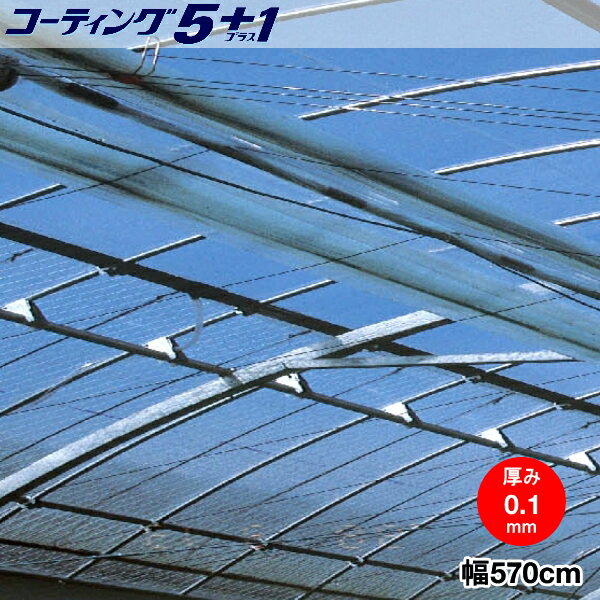 高機能汎用農業用塗布型POフィルム　コーティング5+1　厚さ0.1mm　幅570cm　希望の長さ(m)を数量で入力