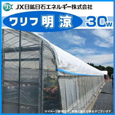 高温対策シート ワリフ明涼30w　幅210cm×長さ100m 遮光率30％ (ハウスの外掛け・内張り、トンネル)