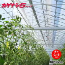 高機能農業用塗布型POフィルム カゲナシ5 厚さ0.15mm×200cm 希望の長さ(m)を数量で入力