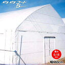 農業用塗布型POフィルム 白白コート5ファイブ 厚さ0.15mm 幅660cm 希望の長さ(m)を数量で入力
