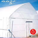 農業用塗布型POフィルム 白白コート5ファイブ 厚さ0.15mm 幅770cm 希望の長さ(m)を数量で入力