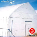 農業用塗布型POフィルム 白白コート5ファイブ 厚さ0.15mm 幅800cm 希望の長さ(m)を数量で入力