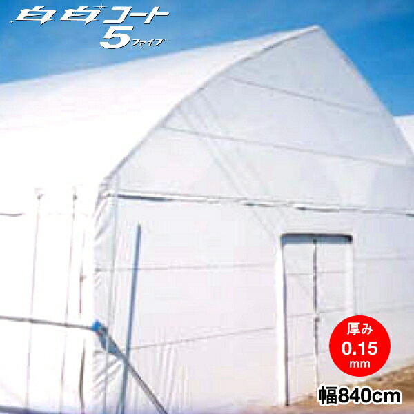 農業用塗布型POフィルム 白白コート5ファイブ 厚さ0.15mm 幅840cm 希望の長さ(m)を数量で入力