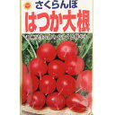 【ネコポス可 10個まで】ダイコン　さくらんぼ はつか大根【アタリヤ】