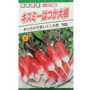 【メール便可 10個まで】【ダイコン】キスミーはつか大根【トーホク】小袋種