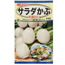 【ネコポス可 10個まで】【カブ】サラダかぶ 雪の華【トーホク】小袋種
