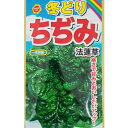 【ネコポス可 10個まで】ホウレンソウ ちぢみ法蓮草【アタリヤ】