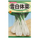 【ネコポス可 10個まで】【シャクシナ】雪白体菜【トーホク】小袋種
