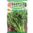 【ネコポス可 10個まで】【アスパラナ】越冬サラダアスパラ菜【トーホク】小袋種