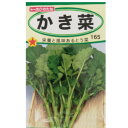 【ネコポス可 10個まで】【カキナ】かき菜【トーホク】小袋種