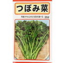 【ネコポス可 10個まで】【ツボミナ】つぼみ菜【トーホク】小袋種