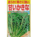 【ネコポス可 10個まで】カキナ 甘いかきな【アタリヤ】