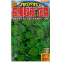 【ネコポス可 10個まで】ハナナ 花菜【アタリヤ】