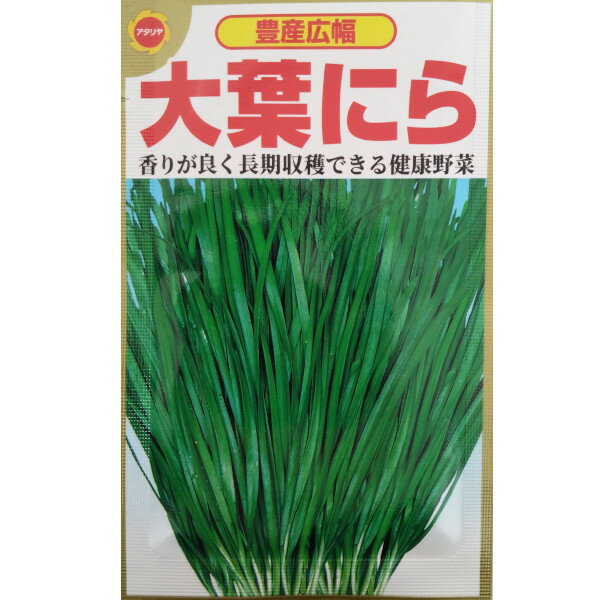 【ネコポス可 10個まで】ニラ　豊産広幅　大葉にら【アタリヤ】のサムネイル