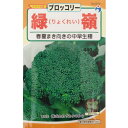 【メール便可 10個まで】ブロッコリー　緑嶺【サカタ交配】【ウタネ】