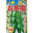 【ネコポス可 4個まで】ソラマメ お多福そら豆【アタリヤ】