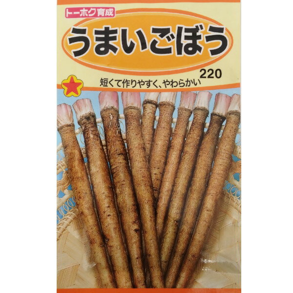 【メール便可 10個まで】【ゴボウ】うまいごぼう【トーホク】小袋種のサムネイル