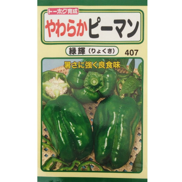 【ネコポス可 10個まで】【ピーマン】やわらかピーマン緑輝【トーホク】小袋種のサムネイル