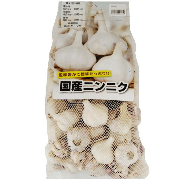 種球【ニンニク】国産にんにく 500g～1kg