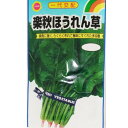 【ネコポス可 10個まで】【ホウレンソウ】楽秋ほうれん草【アタリヤ】小袋種