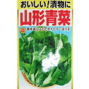 【ネコポス可 10個まで】【ツケナ】山形青菜【アタリヤ】小袋種