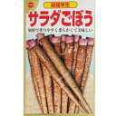 【ネコポス可 10個まで】【ごぼう】サラダごぼう【アタリヤ】小袋種