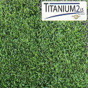 種子【ターフタイプ品種】【トールフェスク】タイタニウム2LS 1kg~10kg【緑化・ゴルフ場・競技場・公園用】芝草 芝の種【カネコ種苗】