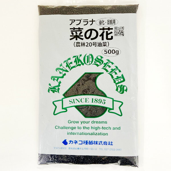 <500g~5kg>種子【菜の花 】【カネコ種苗】景観形成